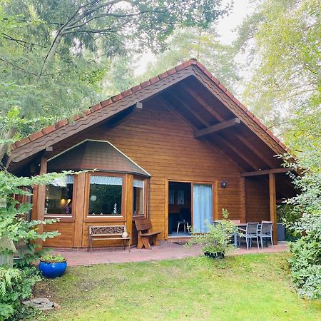 Ferienhaus Svenja, Wiefelstede-Lehe Ngoại thất bức ảnh